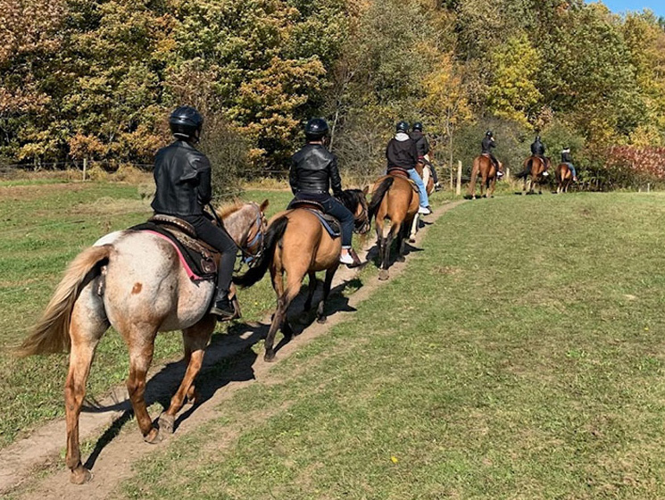 Beginner’s Guide to Horseback Riding: What to Expect on Your First Trail Ride